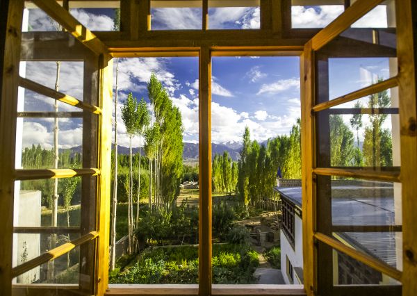 Cost of Wood Window Replacement in Bowie