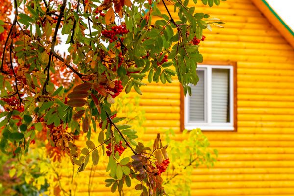 Cost of Garden Window Replacement in Bowie